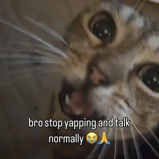  .....attos   'recent posts' 