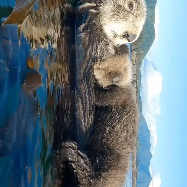  ......promo   'recent posts' 