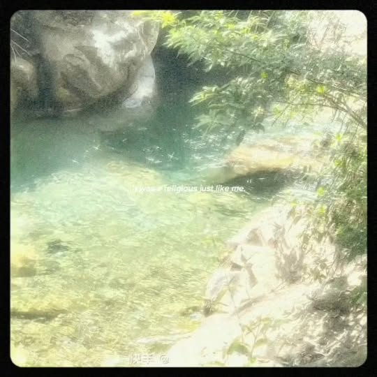  .....vibee   'recent posts' 