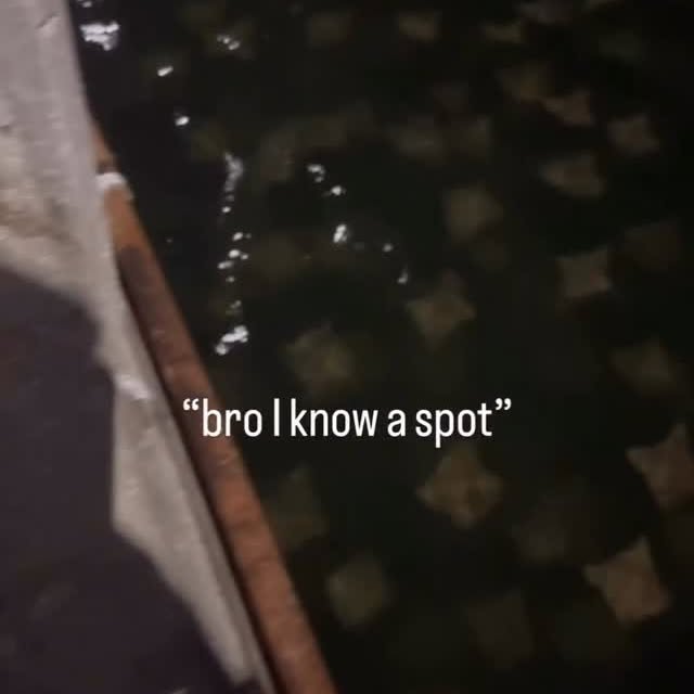  ..........ylefishing   'recent posts' 