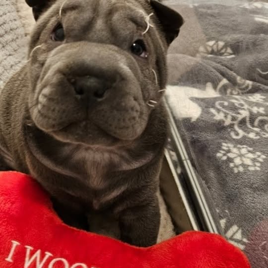  ......i.world   'recent posts' 