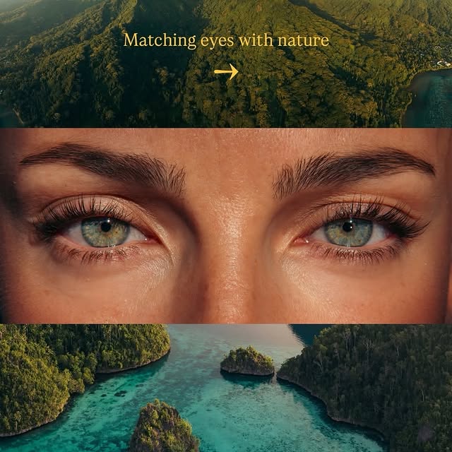  ......sfervor   'recent posts' 