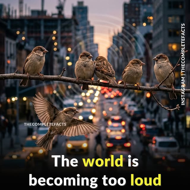  ........etefacts   'recent posts' 