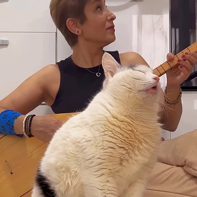  ........malsgram   'recent posts' 