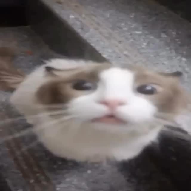  .....attos   'recent posts' 