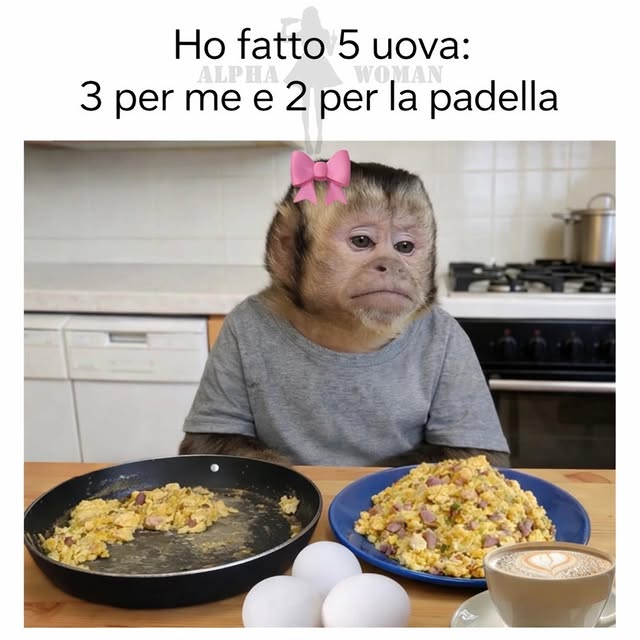  ..........n_official   'recent posts' 