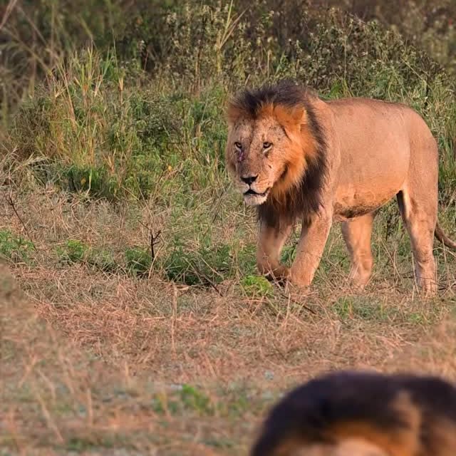  .........._sightings   'recent posts' 