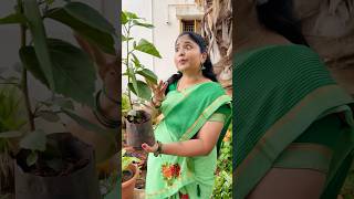  .........._Richh akka  'recent videos' 