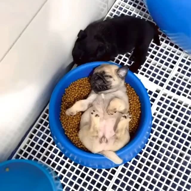  .....wners   'recent posts' 