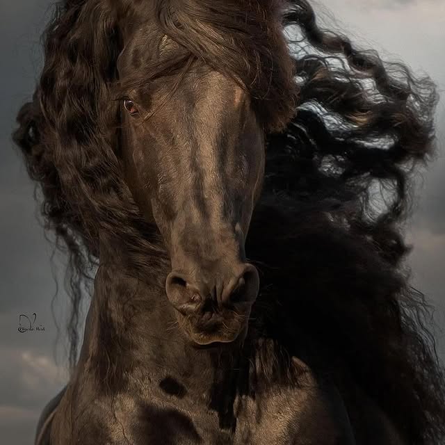  ........ionfervor   'recent posts' 