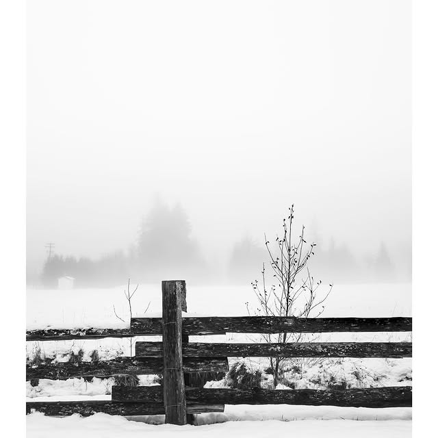  .......eng1360   'recent posts' 