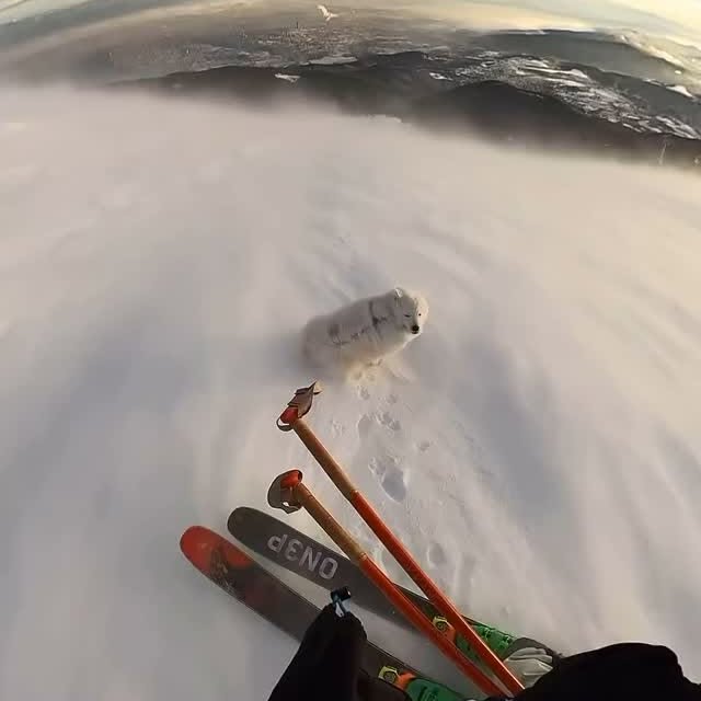  ........ndscapes   'recent posts' 