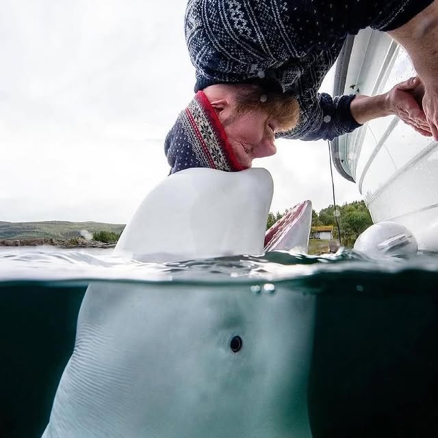  ......sfever   'recent posts' 