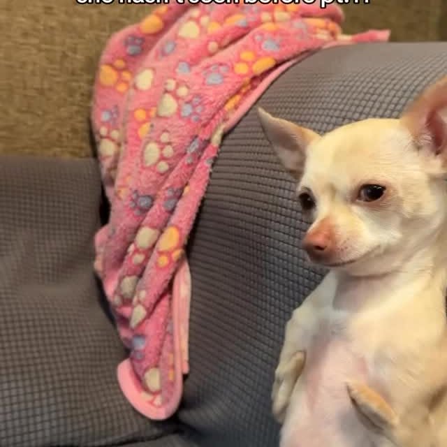  ........astiming   'recent posts' 