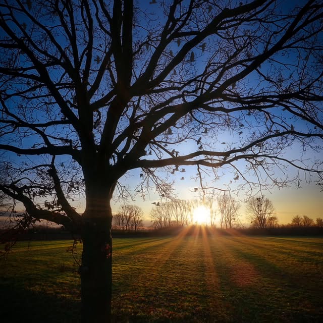  .....rapher   'recent posts' 