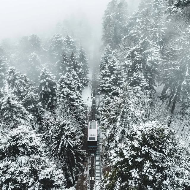  .......avelbook   'recent posts' 