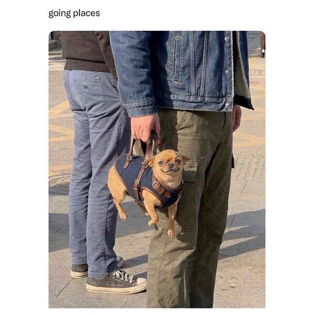  ..ps   'recent posts' 