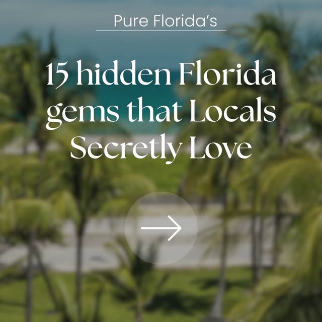  .....lorida   'recent posts' 