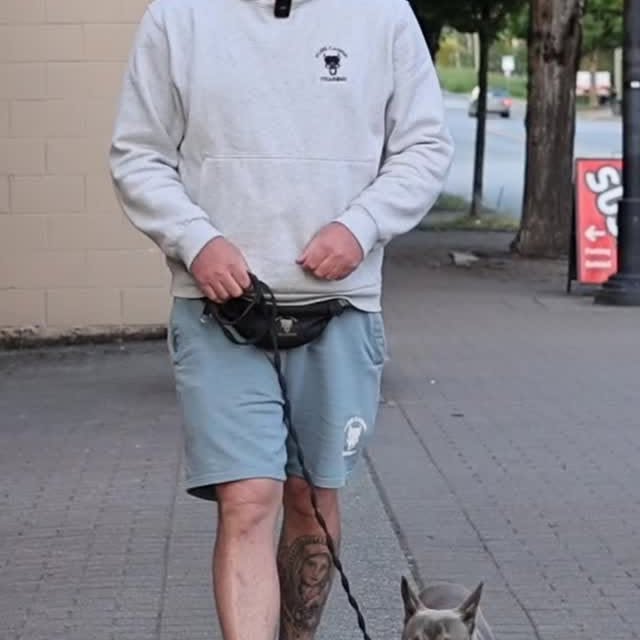  ..........ldogs_only   'recent posts' 