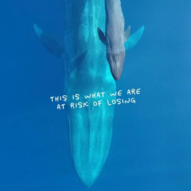  ......uecoast   'recent posts' 