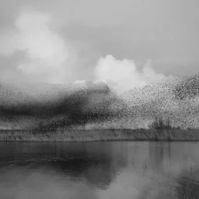  ....fever   'recent posts' 