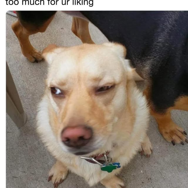  ......iends2   'recent posts' 