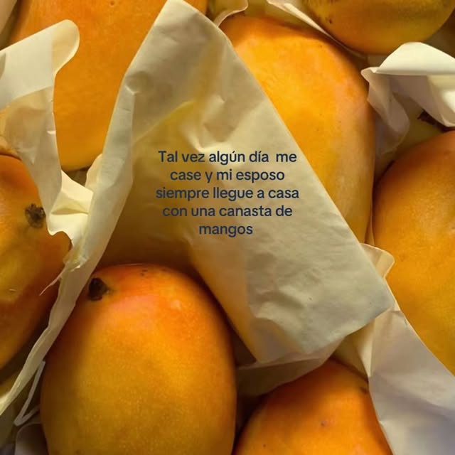  ....inea   'recent posts' 