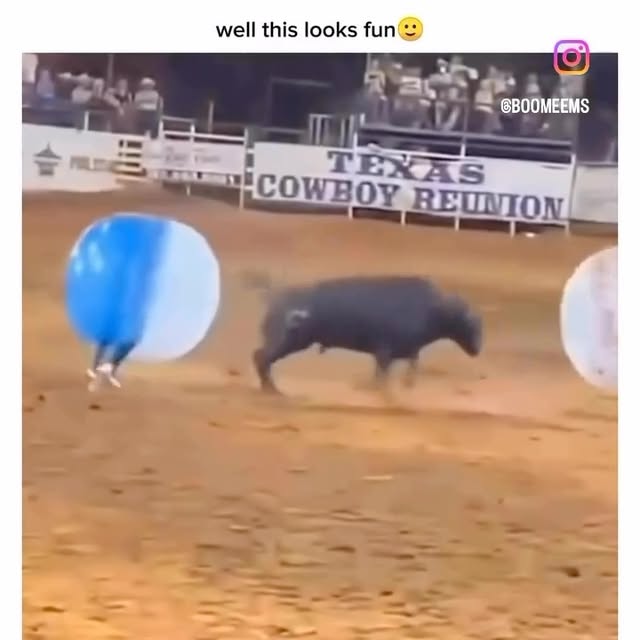  ....eems   'recent posts' 