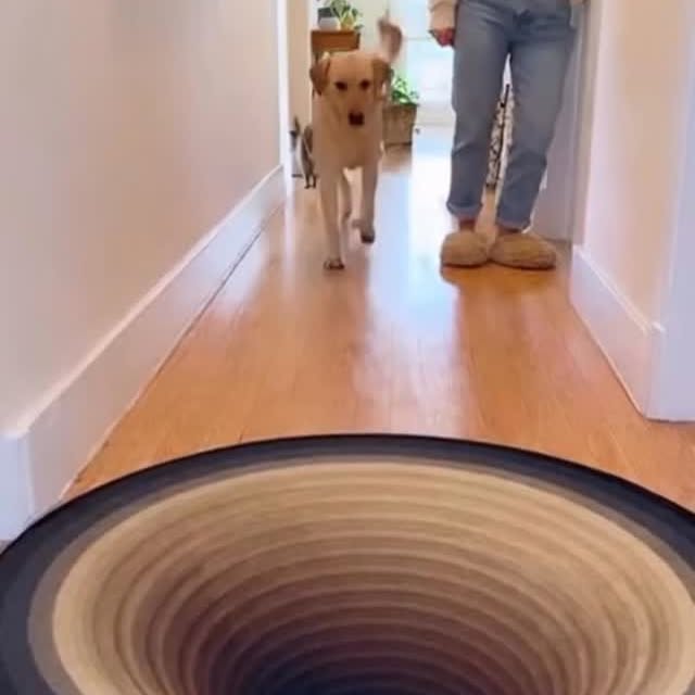  .......malshow   'recent posts' 