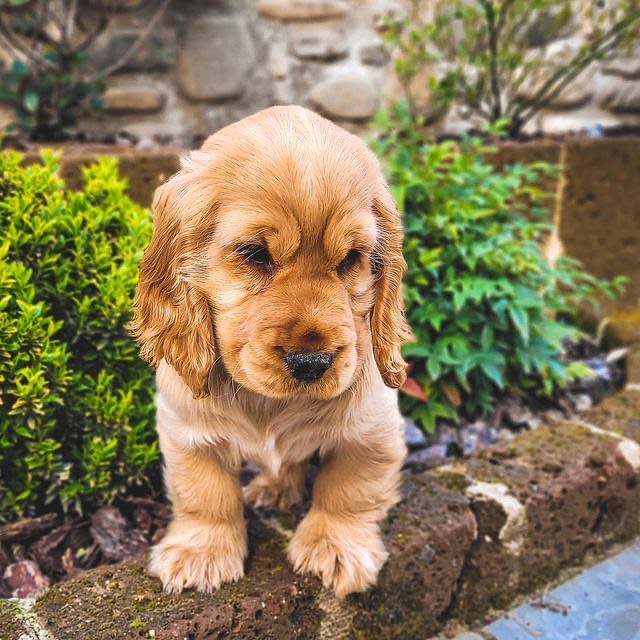  ..........erofficial   'recent posts' 