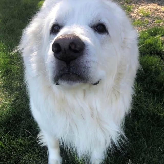  .......e_raine   'recent posts' 