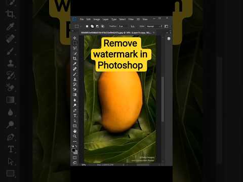  ....hNest  'recent videos' 