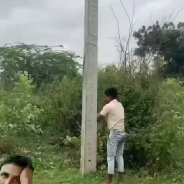  .....memes   'recent posts' 