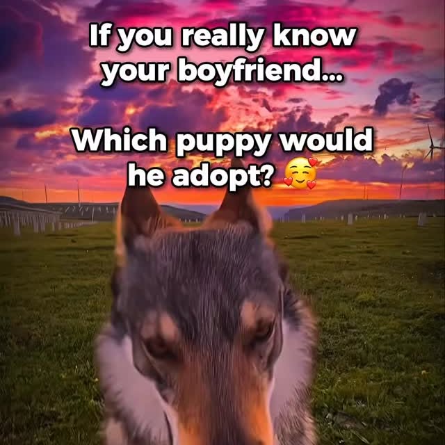  .....iesta   'recent posts' 