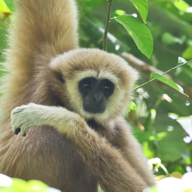  .....yland   'recent posts' 