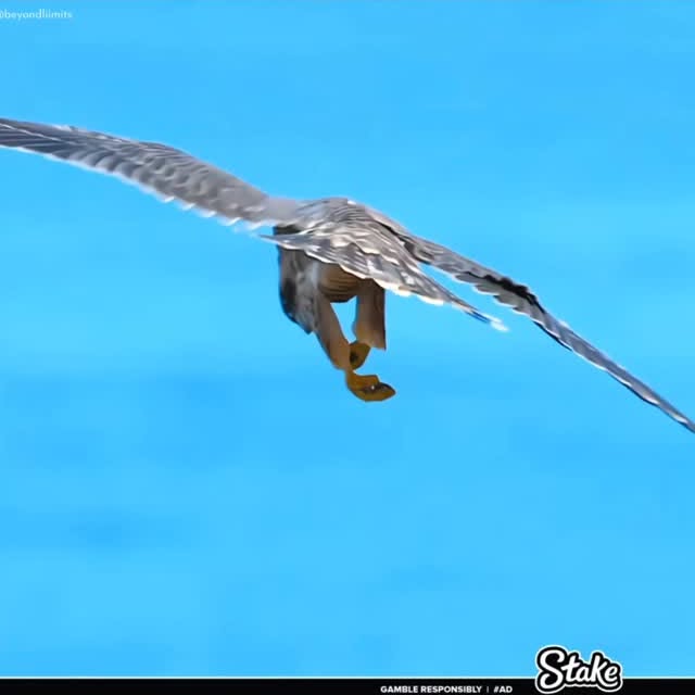  ......liimits   'recent posts' 