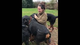  .......ler Life  'recent videos' 