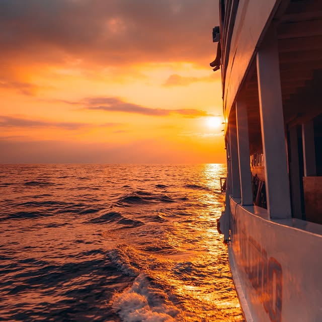  .....horpe   'recent posts' 