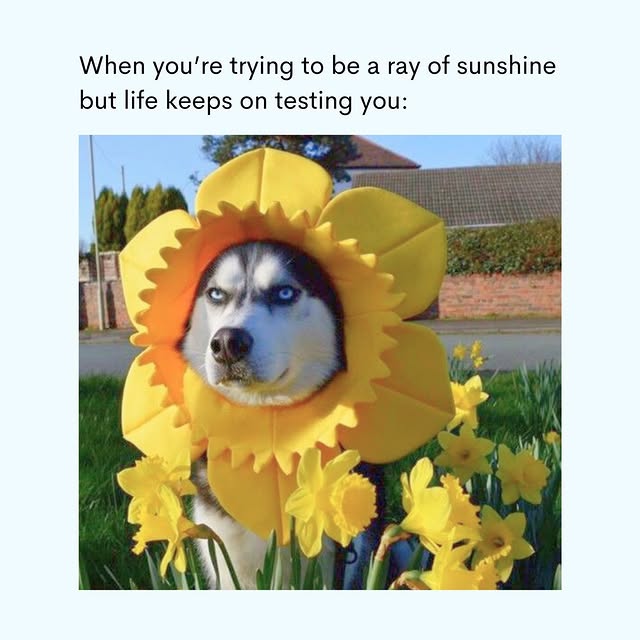  ......rposts   'recent posts' 