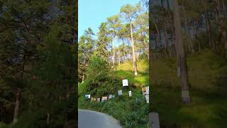  ........... Entertainer  'recent videos' 