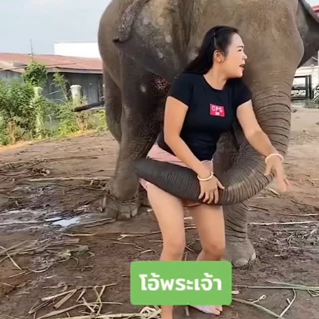  ....a0137   'recent posts' 