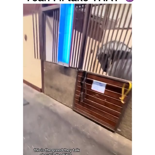  ...edy   'recent posts' 