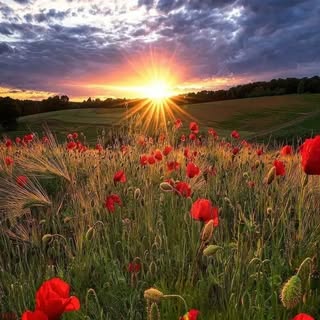 Hire .........enture.in influencer with 83.8k