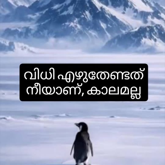  ........mmunches   'recent posts' 