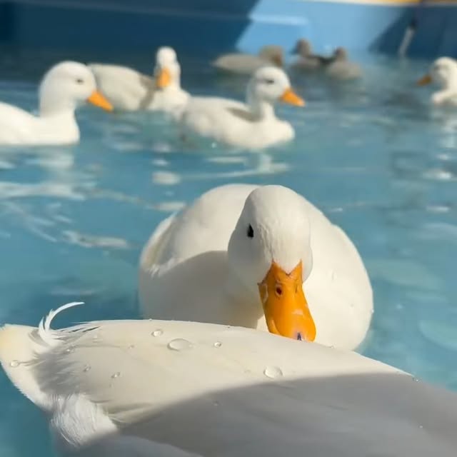  ........ckstatue   'recent posts' 