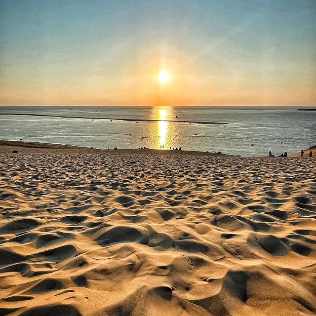  ......_viola   'recent posts' 