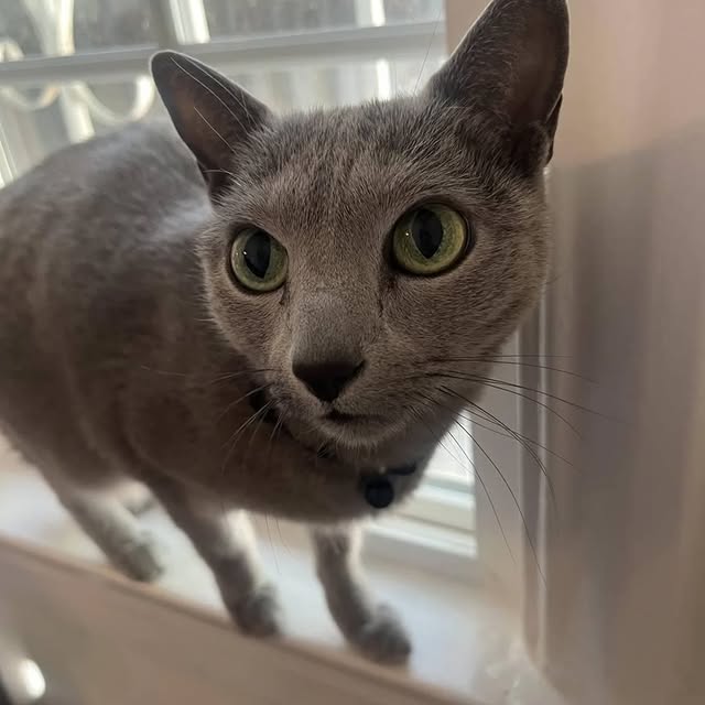  ......n_boris   'recent posts' 