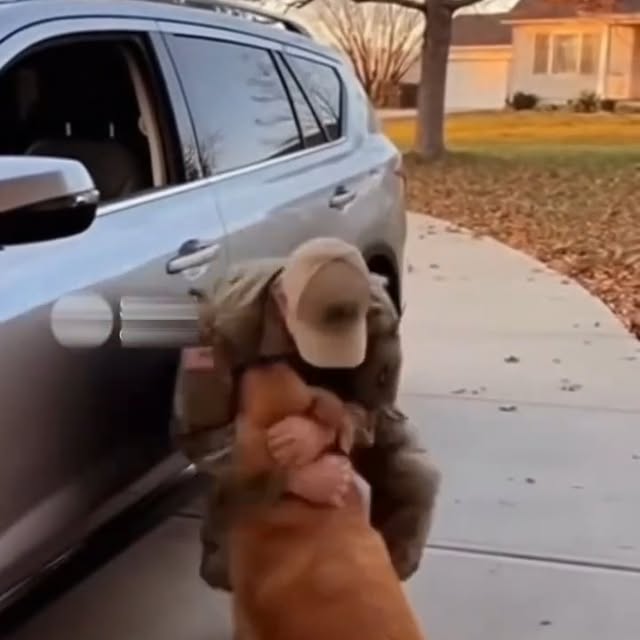  .....sland   'recent posts' 