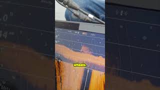  ...........with Purpose  'recent videos' 