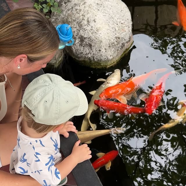  .....to.go   'recent posts' 